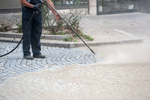 Boat and Dock Cleaning in Crystal Lawns, IL